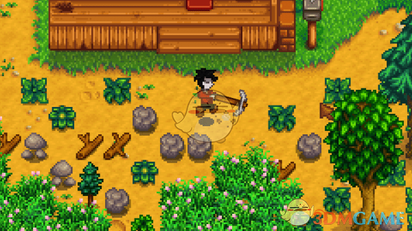 《星露谷物语》男性农夫动作修复补丁