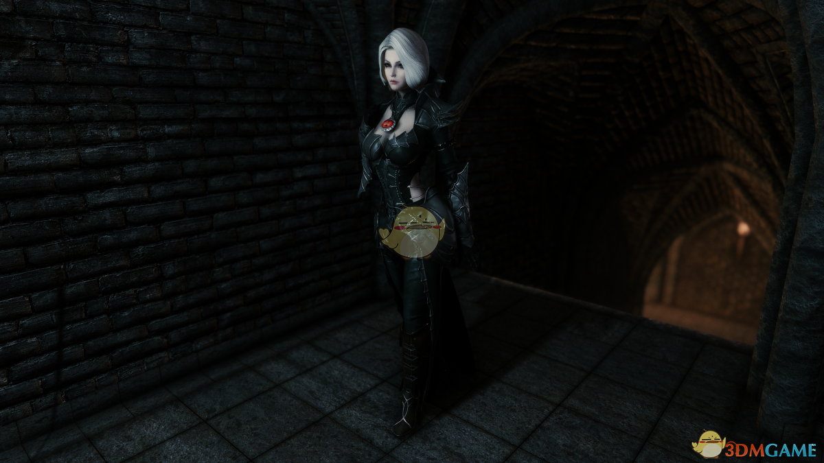 《上古卷轴5：天际重制版》女性吸血鬼性感皮甲MOD