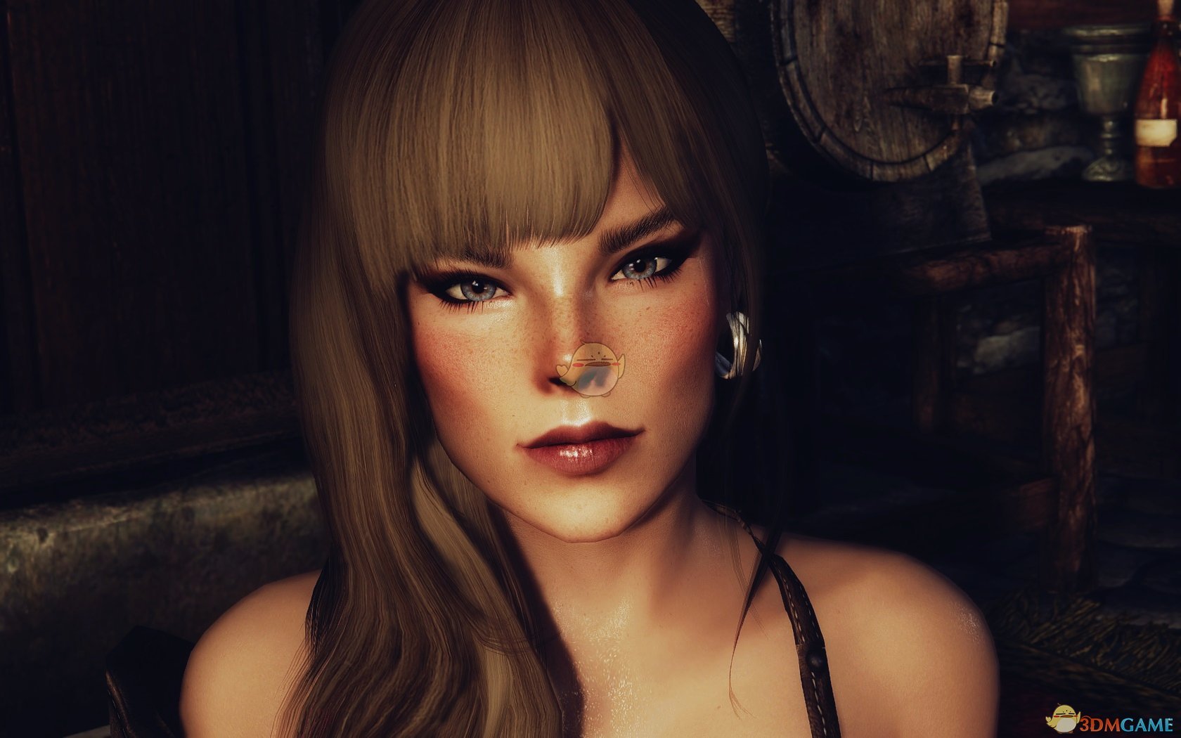 《上古卷轴5：天际》玛雅女性风格预设MOD