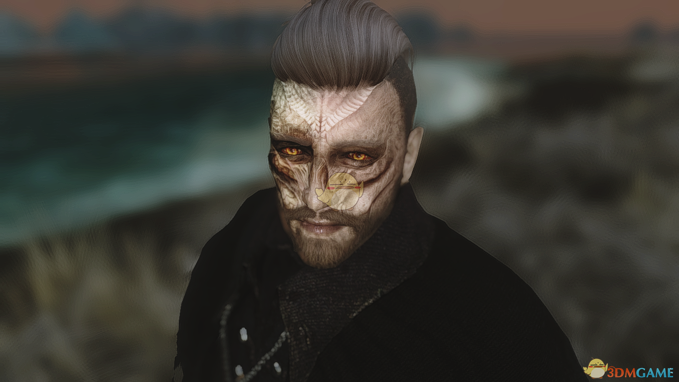 《上古卷轴5：天际》充满死亡气息的男性预设MOD