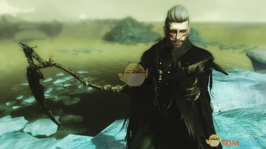 《上古卷轴5：天际》充满死亡气息的男性预设MOD