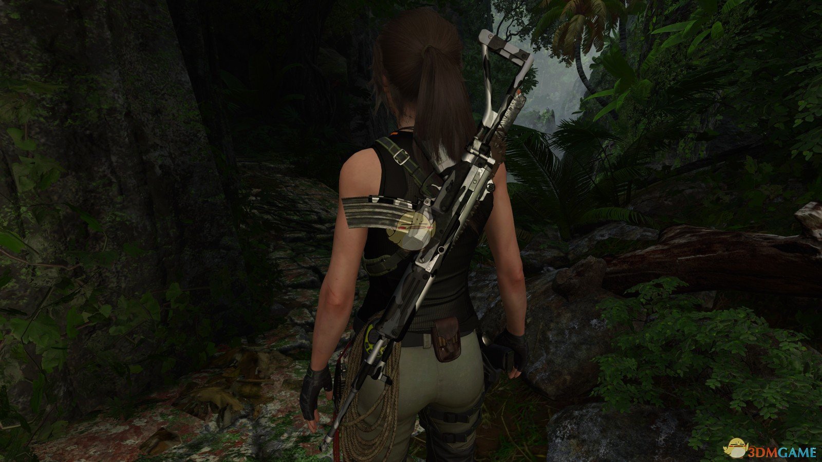 《古墓丽影：暗影》迷彩步枪MOD