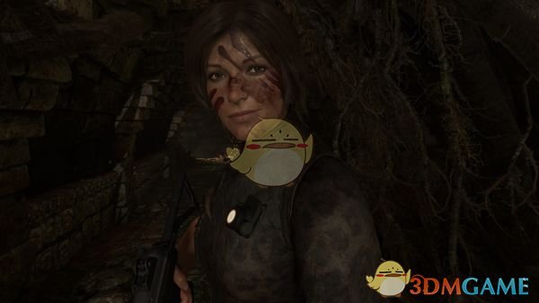 《古墓丽影：暗影》战争油漆面孔MOD