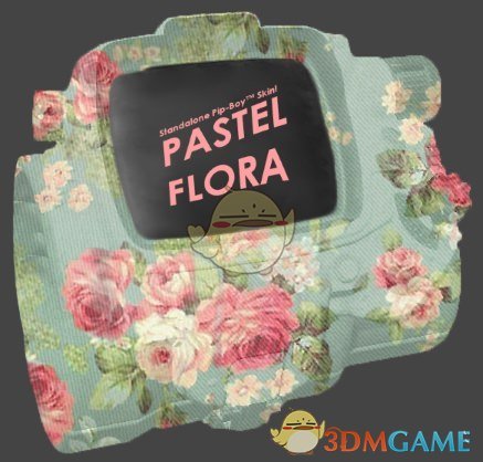 《辐射4》连衣裙花纹BB小子皮肤MOD