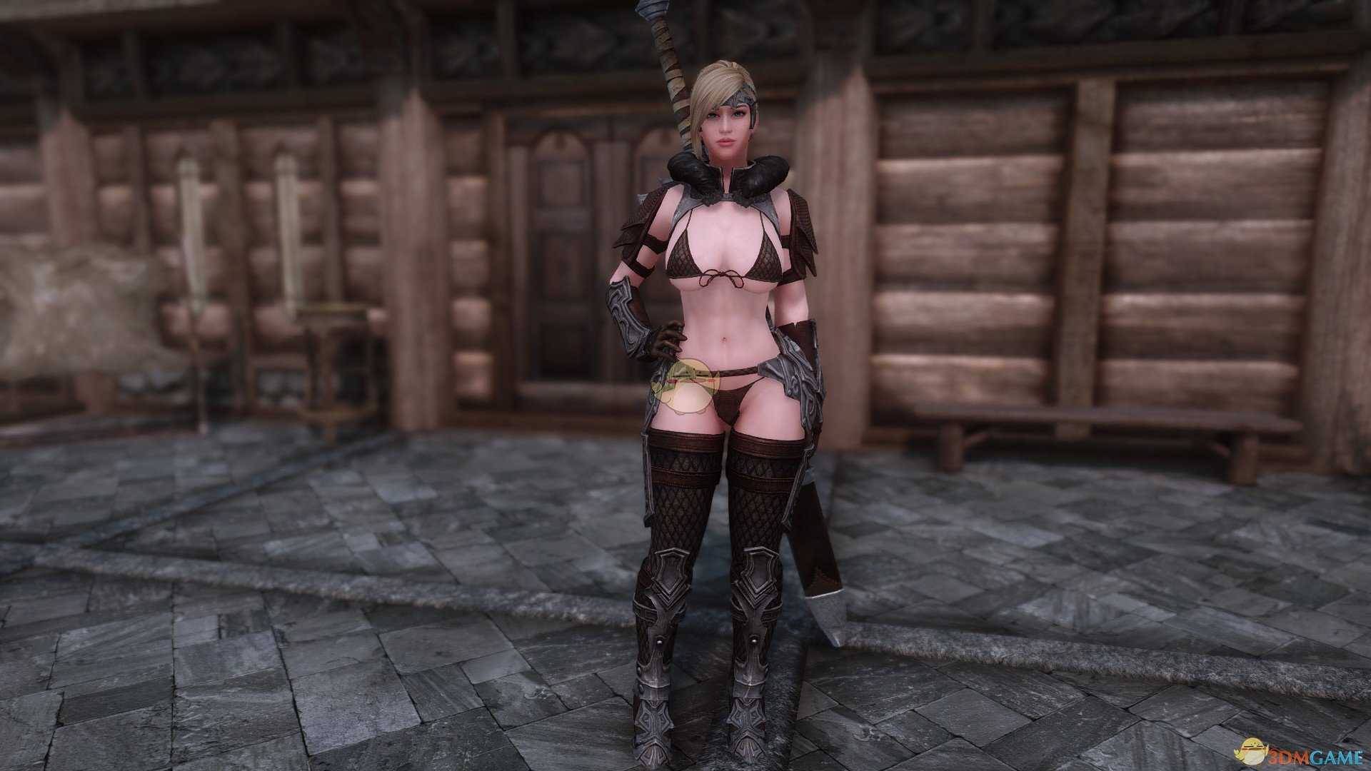 《上古卷轴5：天际》Helena女战士随从MOD