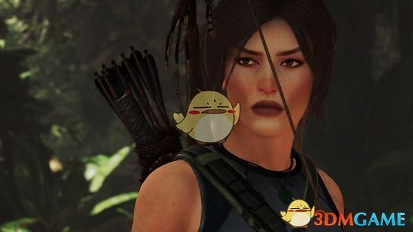 《古墓丽影：暗影》劳拉经典脸型MOD