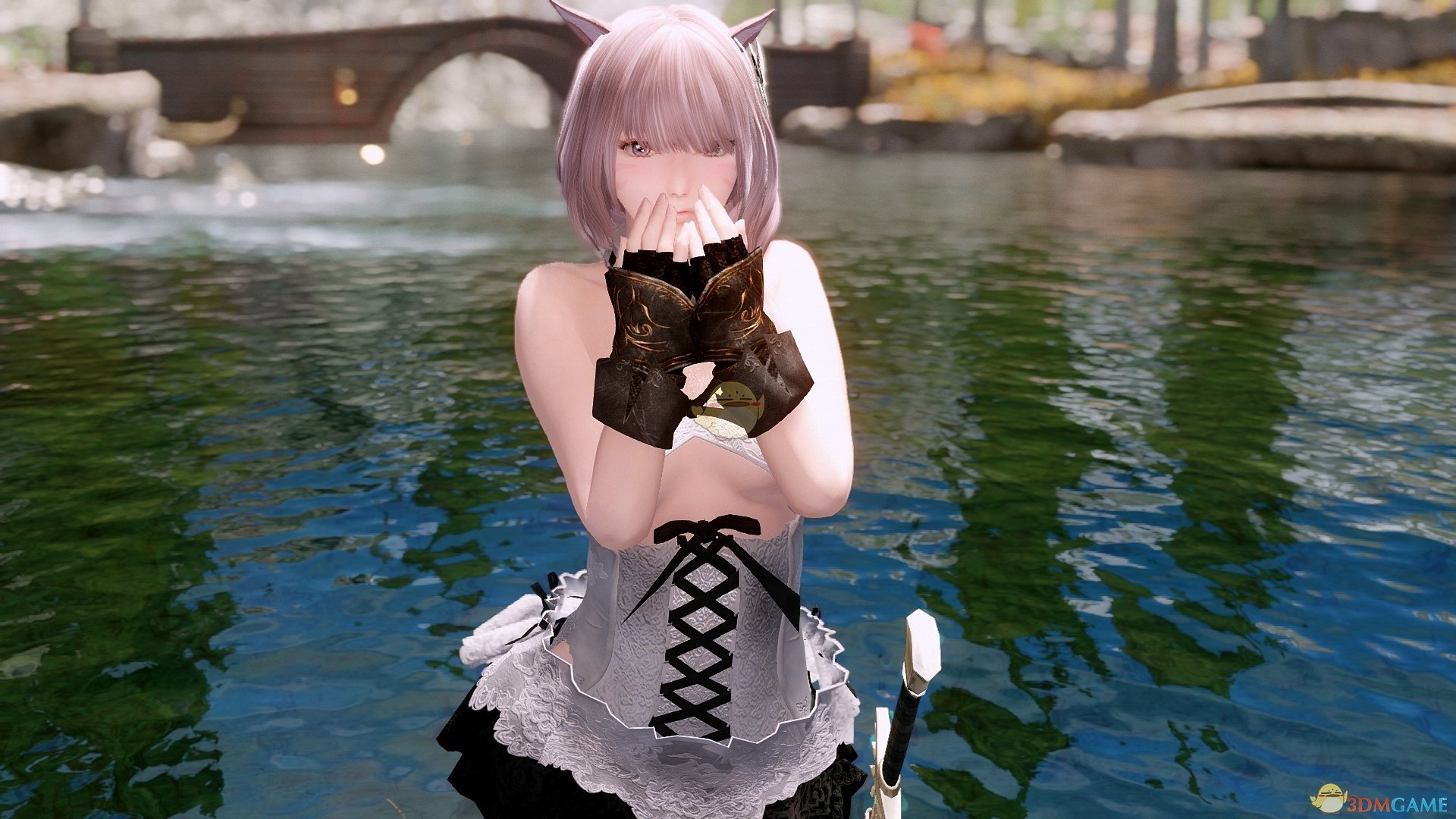 《上古卷轴5：天际》一个日本语音萌系可爱随从MOD