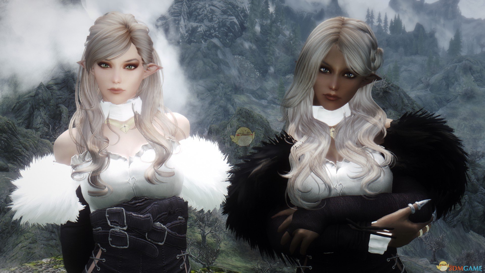 《上古卷轴5：天际》黑白精灵姐妹花独立随从MOD