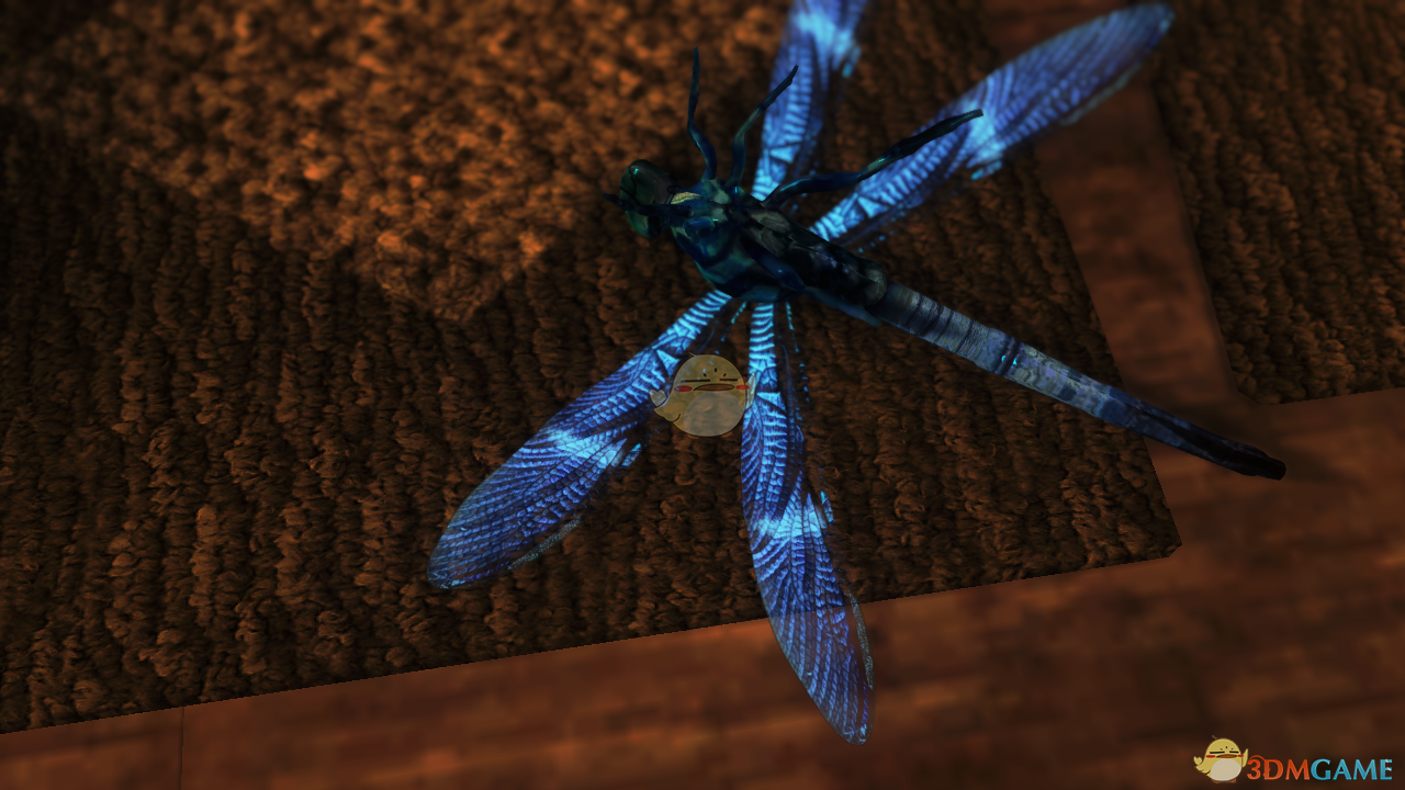 《上古卷轴5：天际》蜻蜓纹理重做MOD