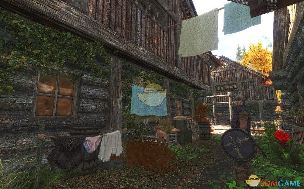 《上古卷轴5：天际》真实的洗衣MOD