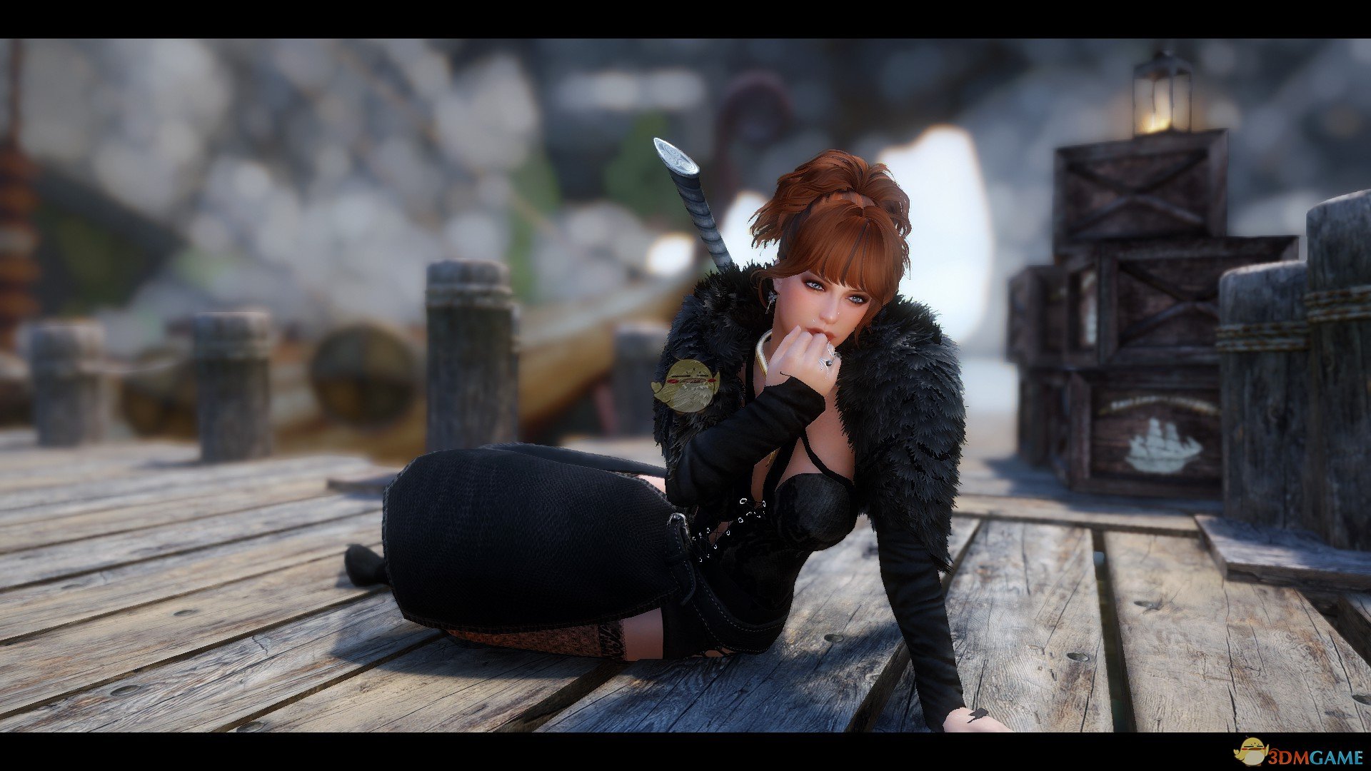 《上古卷轴5：天际》Alexis女性战士独立随从MOD