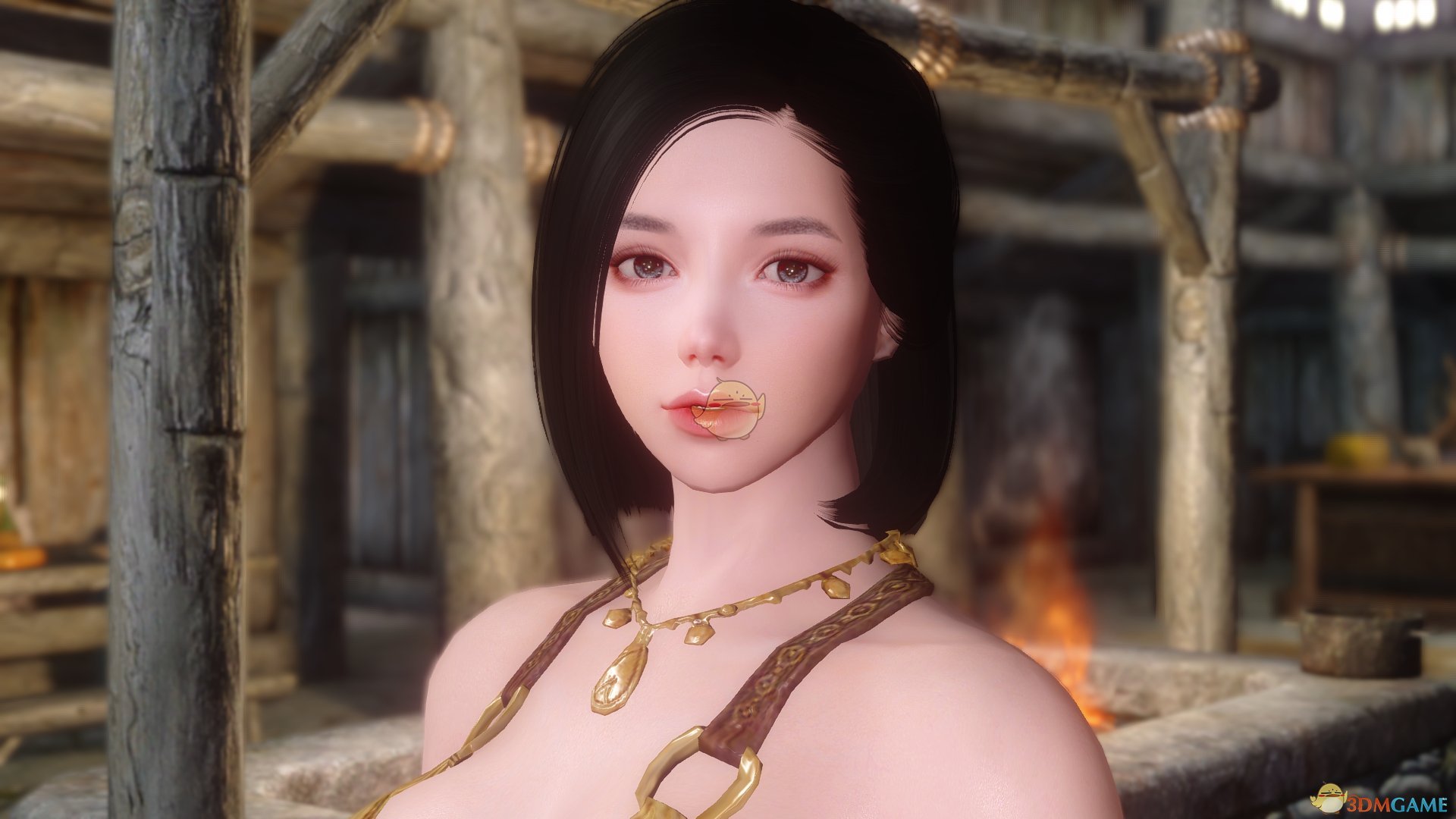 《上古卷轴5：天际》Sori性感女性随从MOD