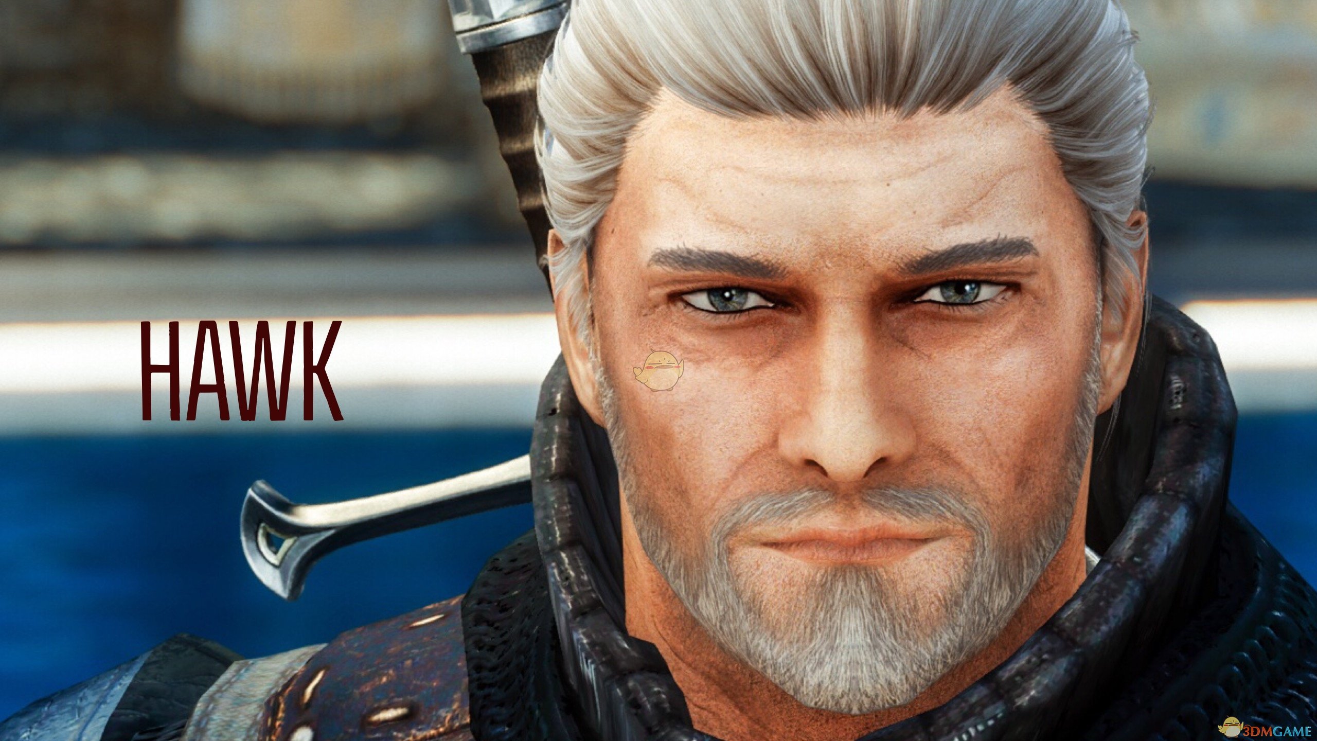 《上古卷轴5：天际》神似卡德加的男性独立随从MOD