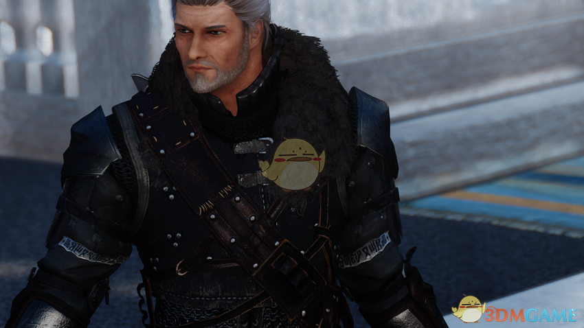 《上古卷轴5：天际》神似卡德加的男性独立随从MOD