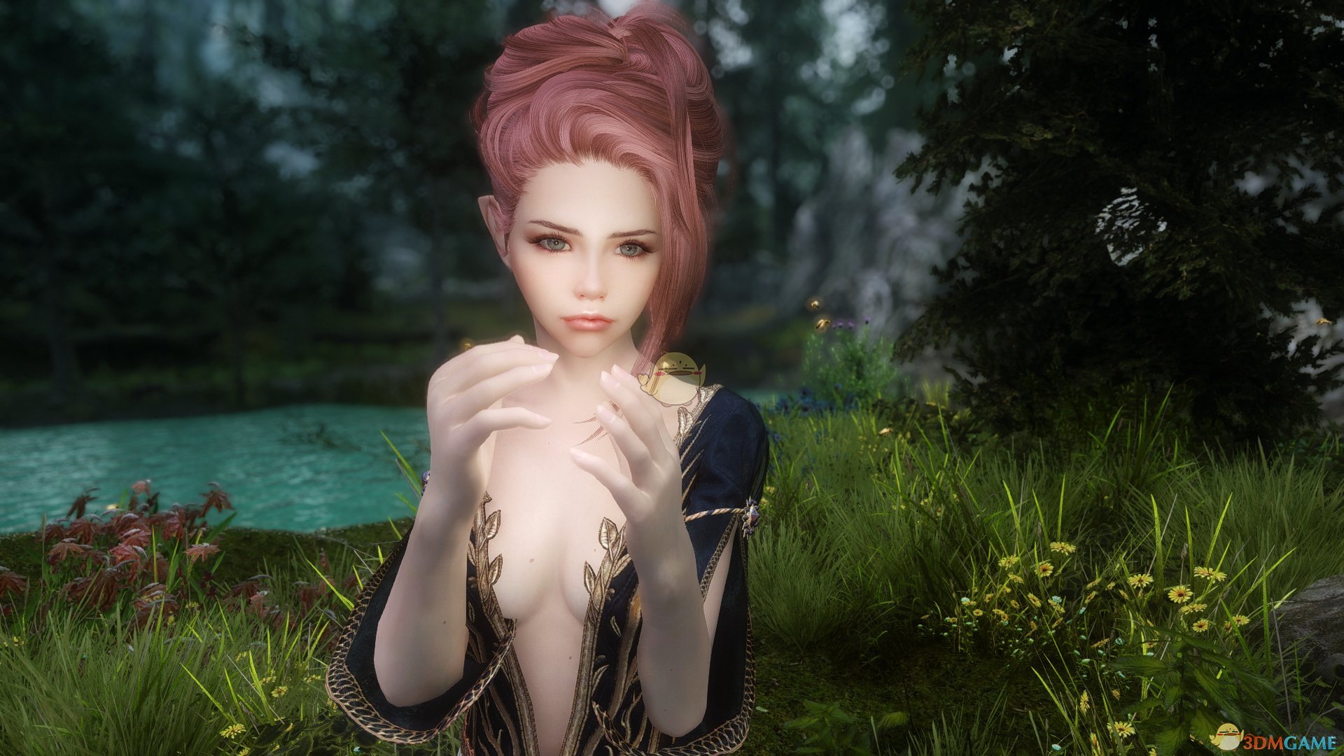 《上古卷轴5：天际》Naria性感女性随从MOD