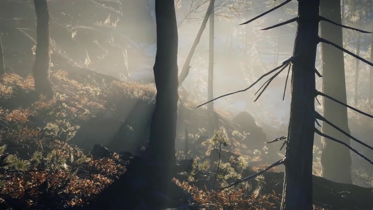 THQ Nordic《猎人：荒野的呼唤》2019版登陆Steam