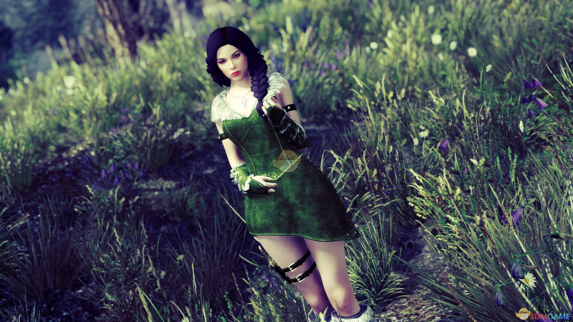 《上古卷轴5：天际》Este美丽公主女性随从MOD