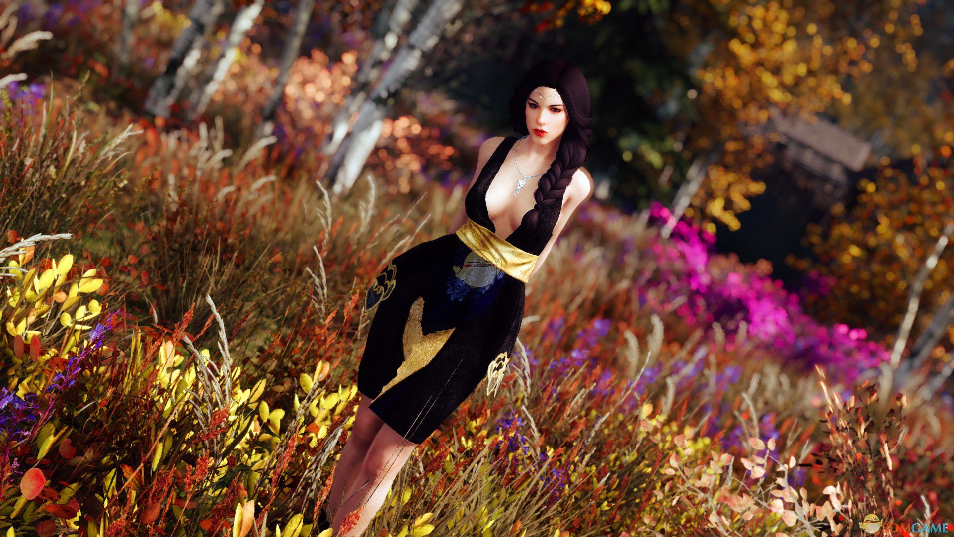 《上古卷轴5：天际》Este美丽公主女性随从MOD