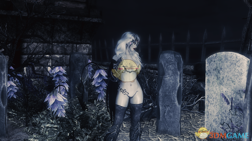 《上古卷轴5：天际》Lady Arkay暗黑女武神独立随从MOD