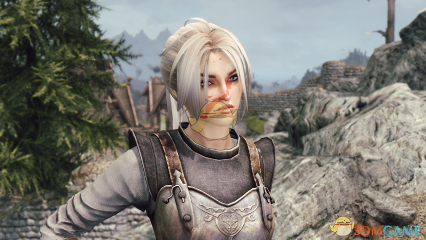 《上古卷轴5：天际》Freya白发英气女性战士独立随从MOD