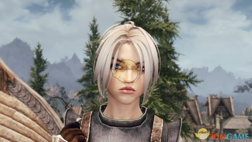 《上古卷轴5：天际》Freya白发英气女性战士独立随从MOD