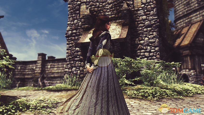 《上古卷轴5：天际》美丽的魔法师女性独立随从MOD