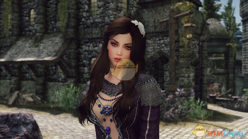 《上古卷轴5：天际》美丽的魔法师女性独立随从MOD