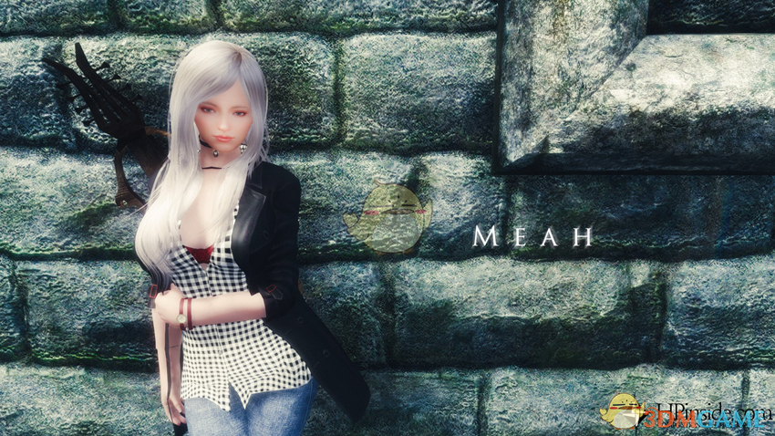 《上古卷轴5：天际》Meah穿着时尚美丽女性随从MOD