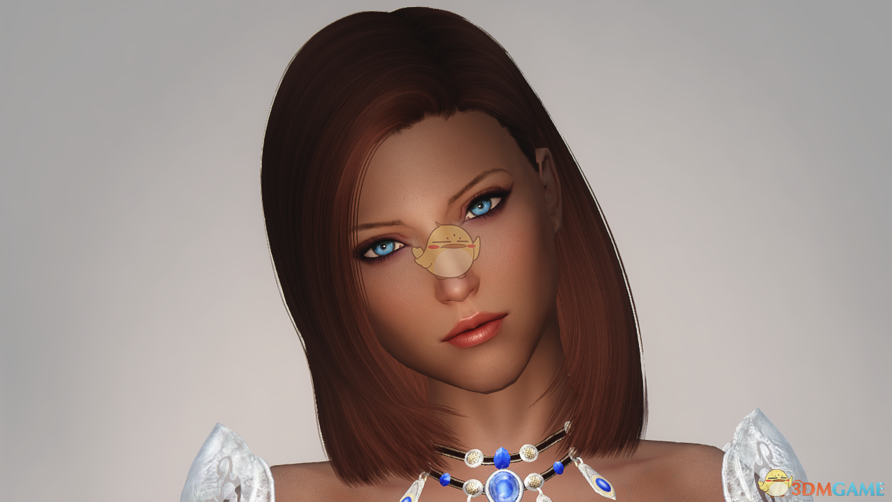 《上古卷轴5：天际》RayAnn Healer透视大胸女性随从MOD