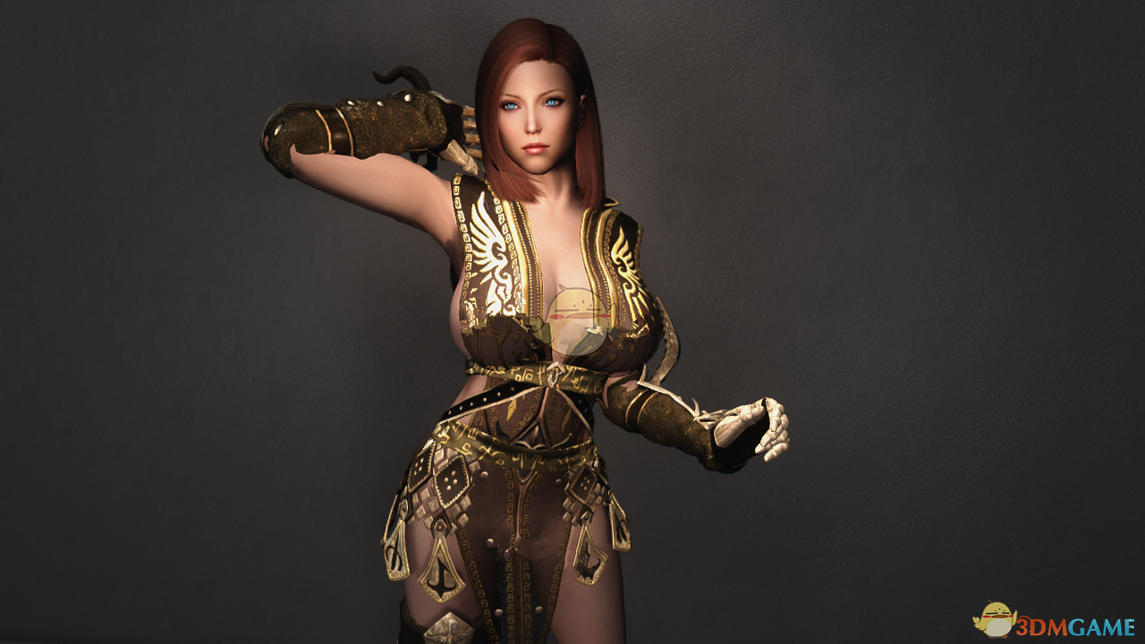 《上古卷轴5：天际》RayAnn Healer透视大胸女性随从MOD