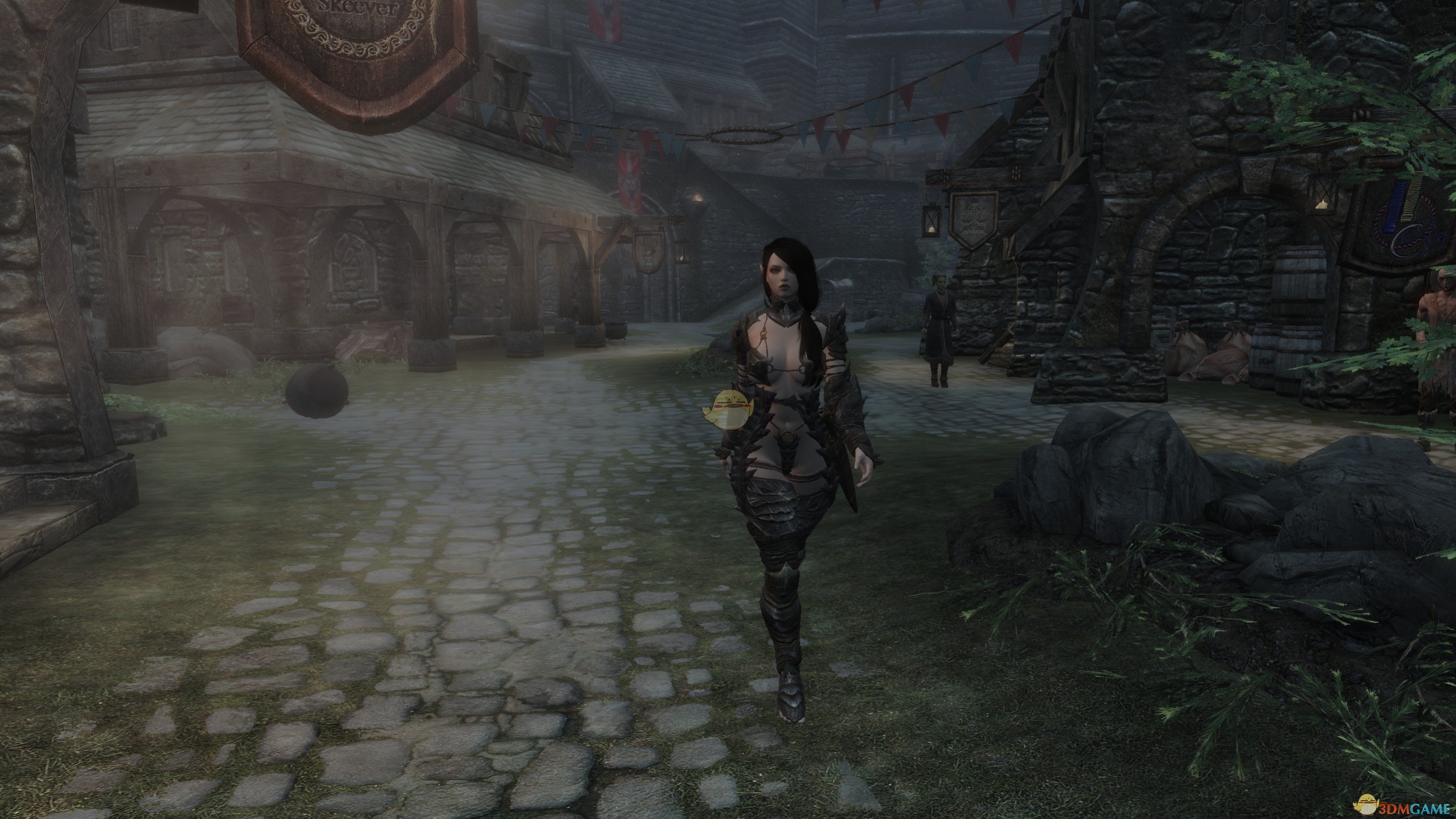 《上古卷轴5：天际》Kreia长发法师女性独立随从MOD