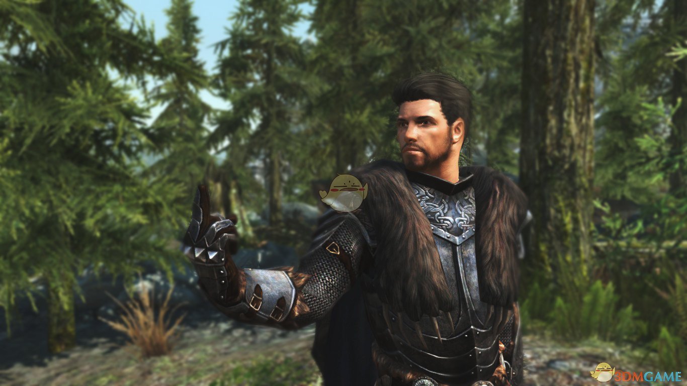 《上古卷轴5：天际》Orwen诺德男性随从MOD