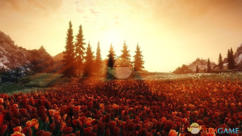 《上古卷轴5：天际》美丽壮观花田MOD