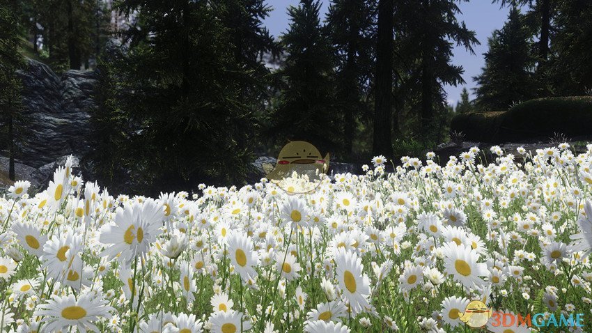 《上古卷轴5：天际》美丽壮观花田MOD