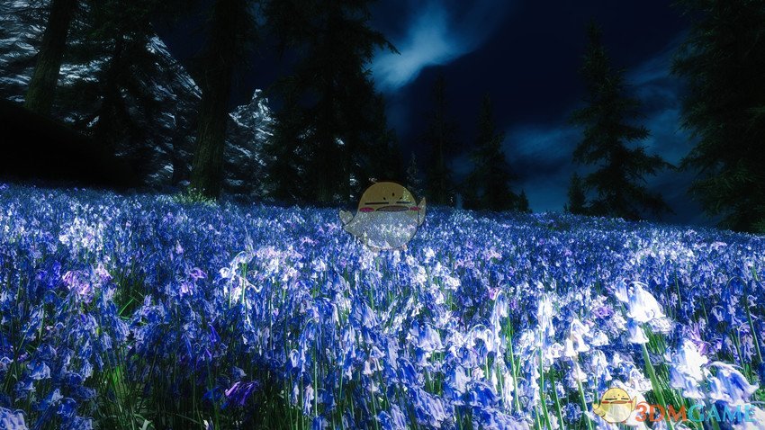 《上古卷轴5：天际》美丽壮观花田MOD