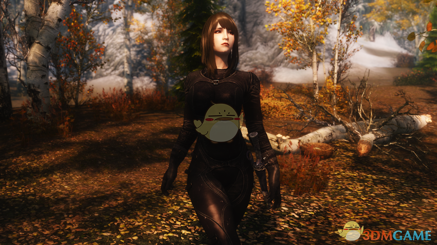 《上古卷轴5：天际》Mion黑长直女性刺客随从MOD