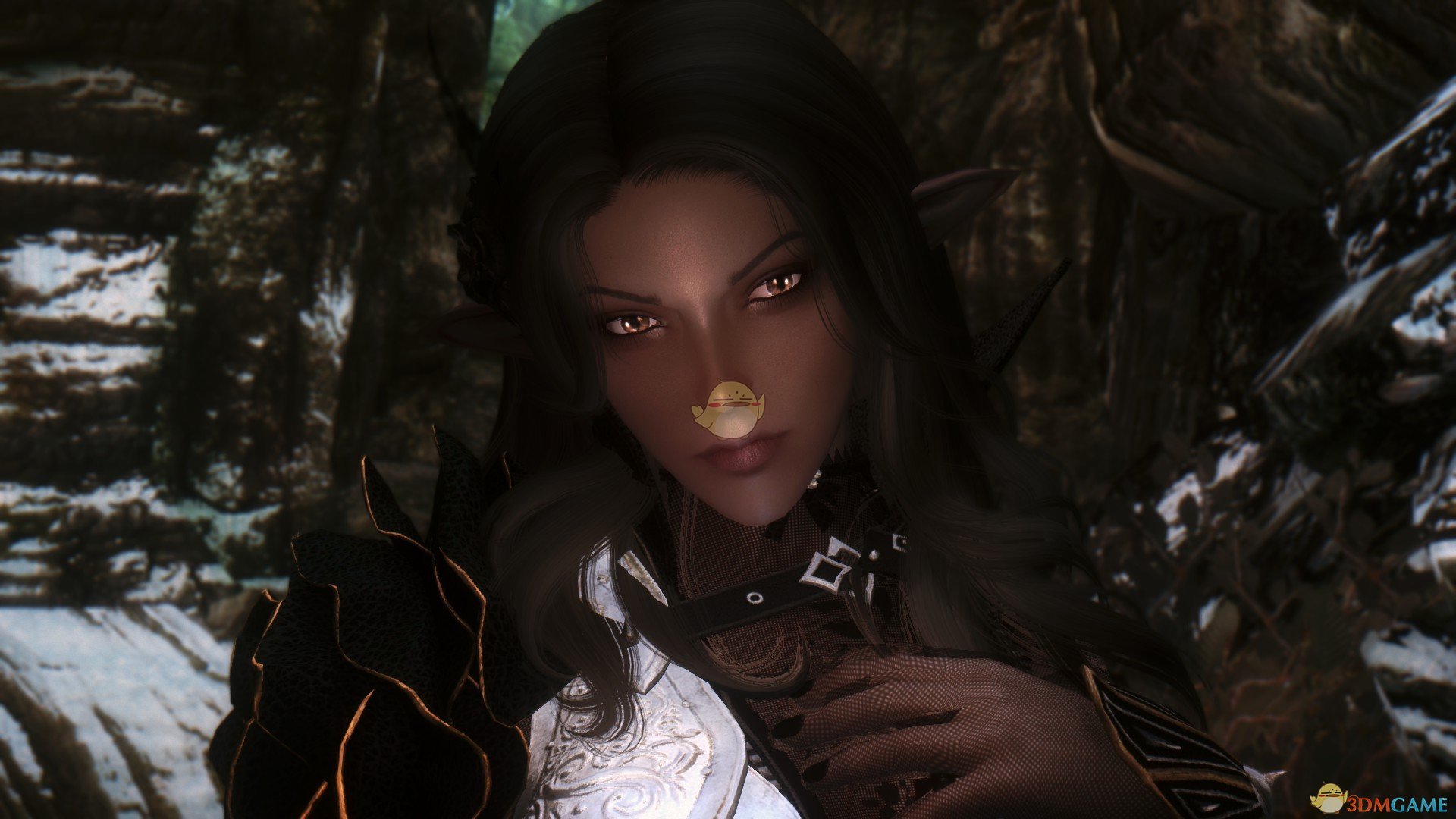 《上古卷轴5：天际》Zenaide性感黑暗精灵法师独立随从MOD