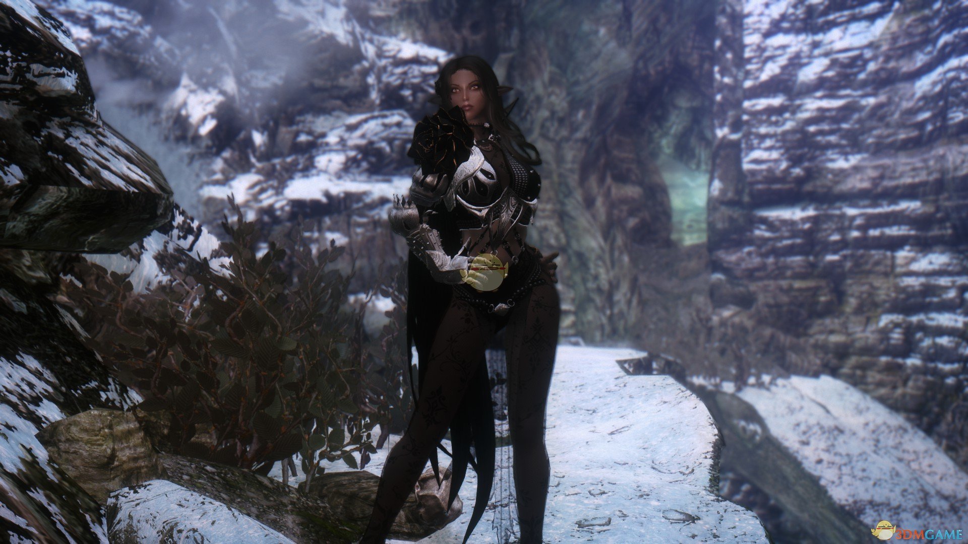 《上古卷轴5：天际》Zenaide性感黑暗精灵法师独立随从MOD