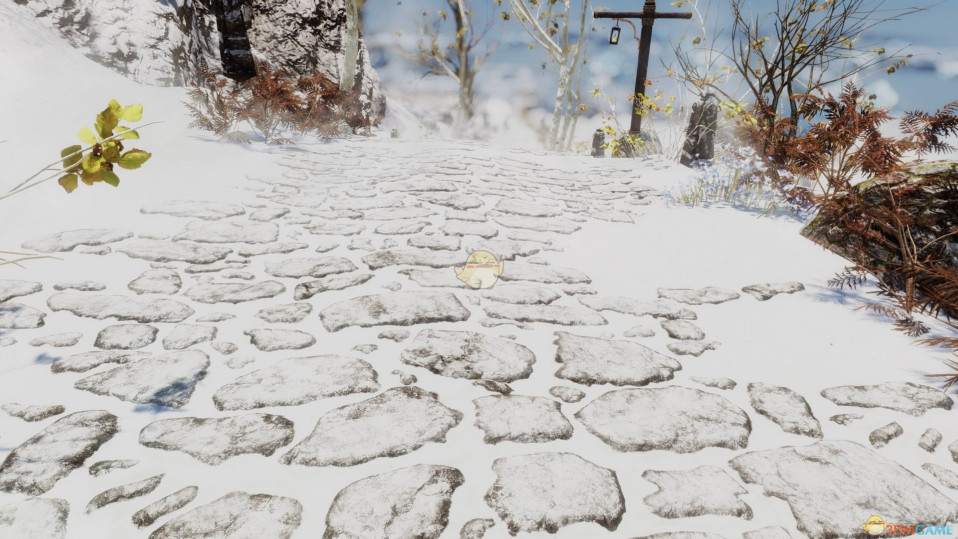 《上古卷轴5：天际》更真实的雪MOD