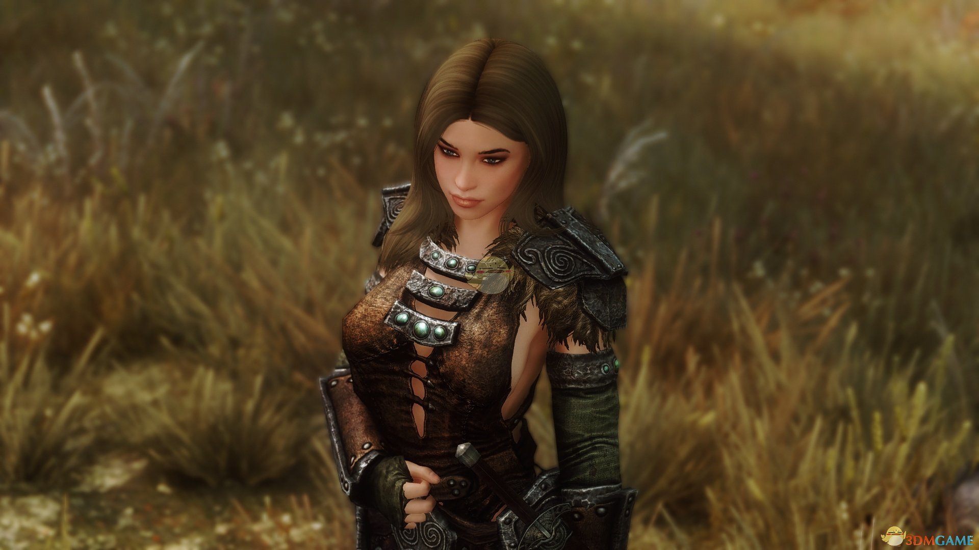 《上古卷轴5：天际》Luzie美丽女性战士独立随从MOD