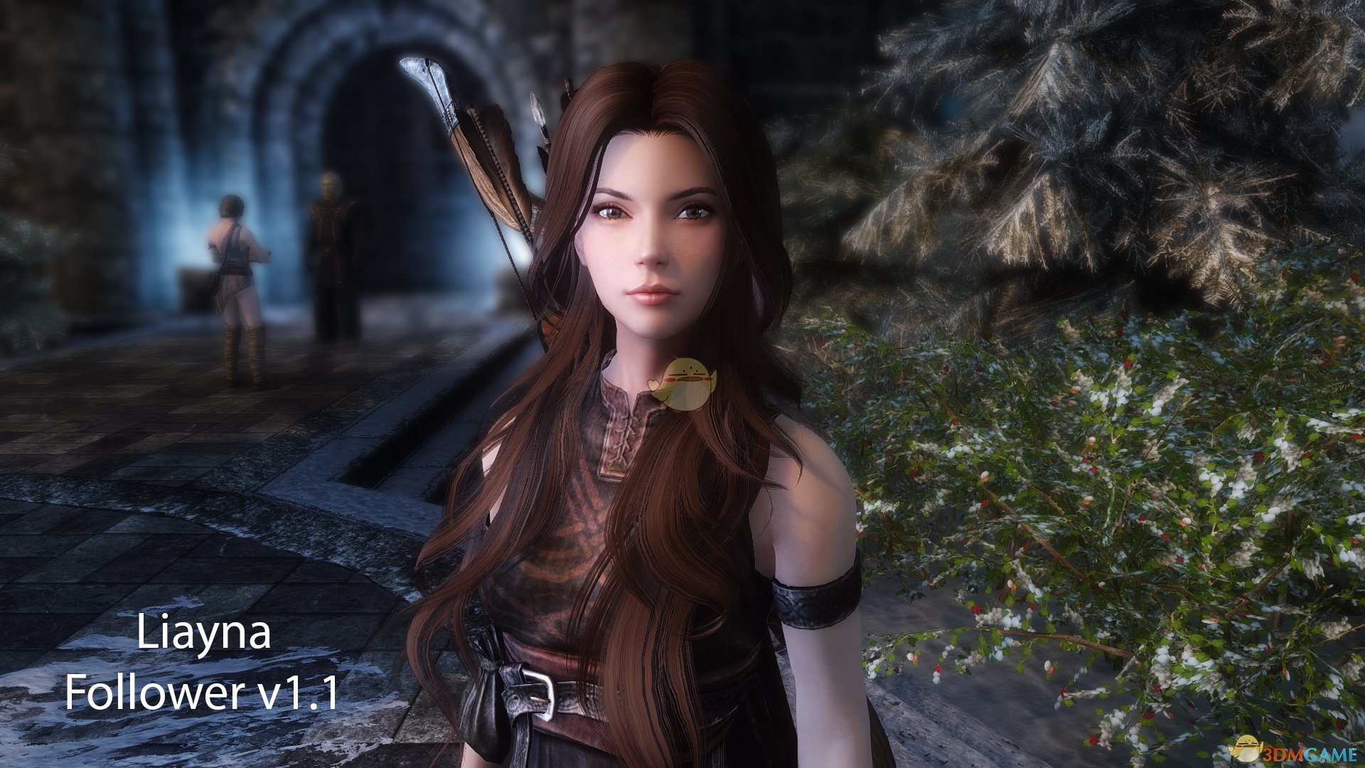 《上古卷轴5：天际》Liayna美丽女性魔法师MOD