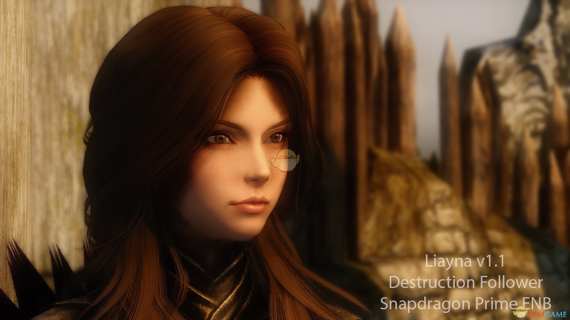 《上古卷轴5：天际》Liayna美丽女性魔法师MOD