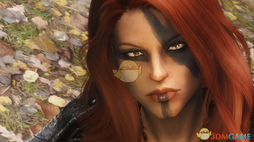 《上古卷轴5：天际》Aela模型替换女性猎人随从MOD