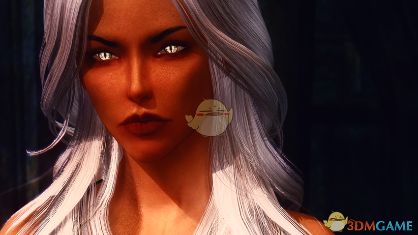 《上古卷轴5：天际》Neve黑暗风格魔法师女性随从MOD