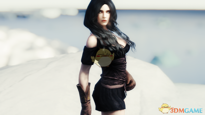 《上古卷轴5：天际》Mary美丽女性亡灵法师随从MOD