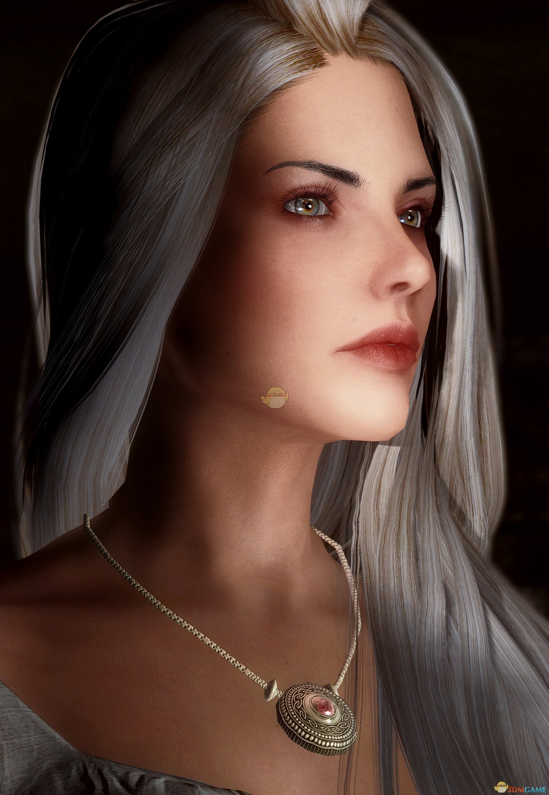 《上古卷轴5：天际》Vivace冰冷系美丽女性独立随从MOD