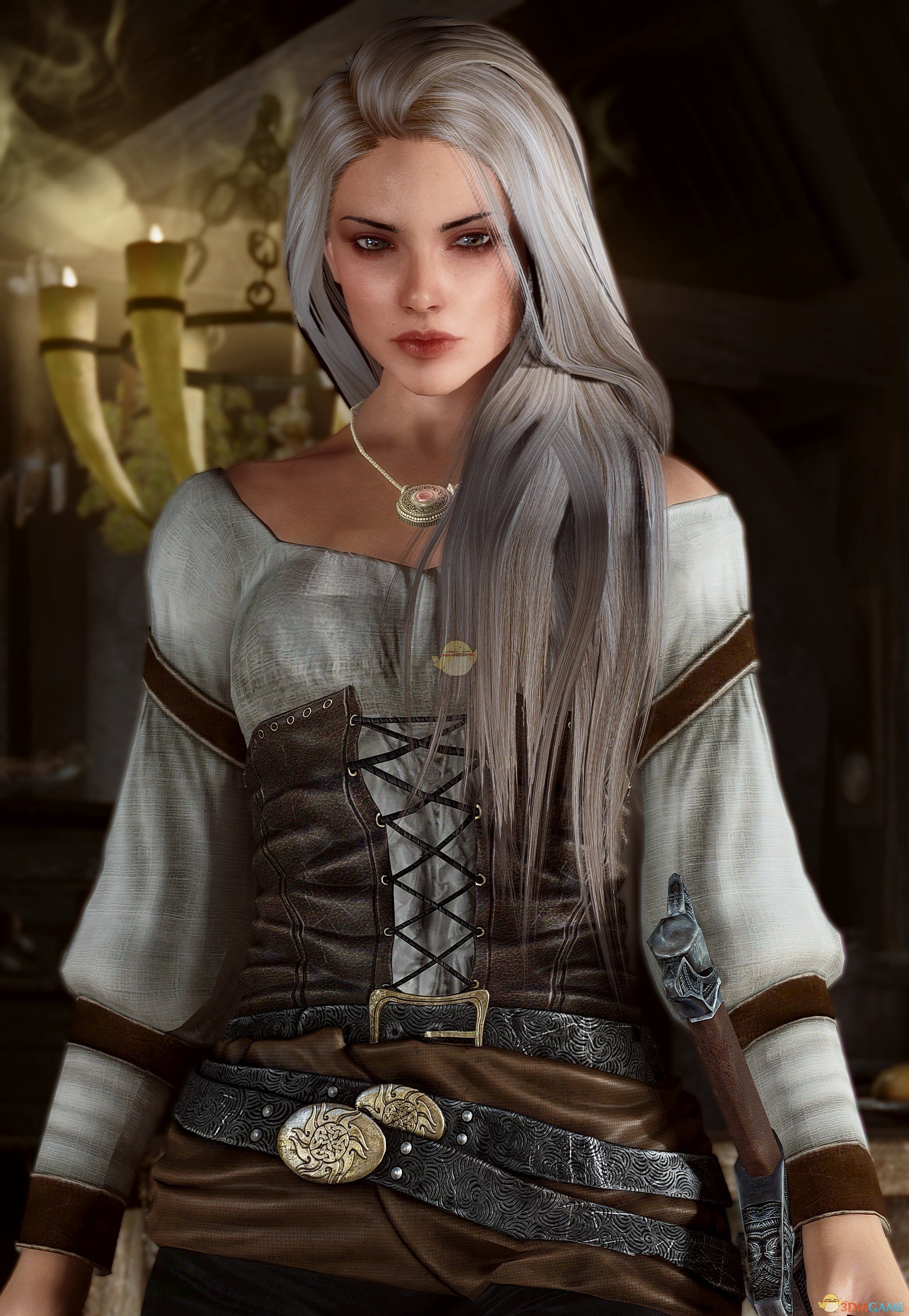 《上古卷轴5：天际》Vivace冰冷系美丽女性独立随从MOD