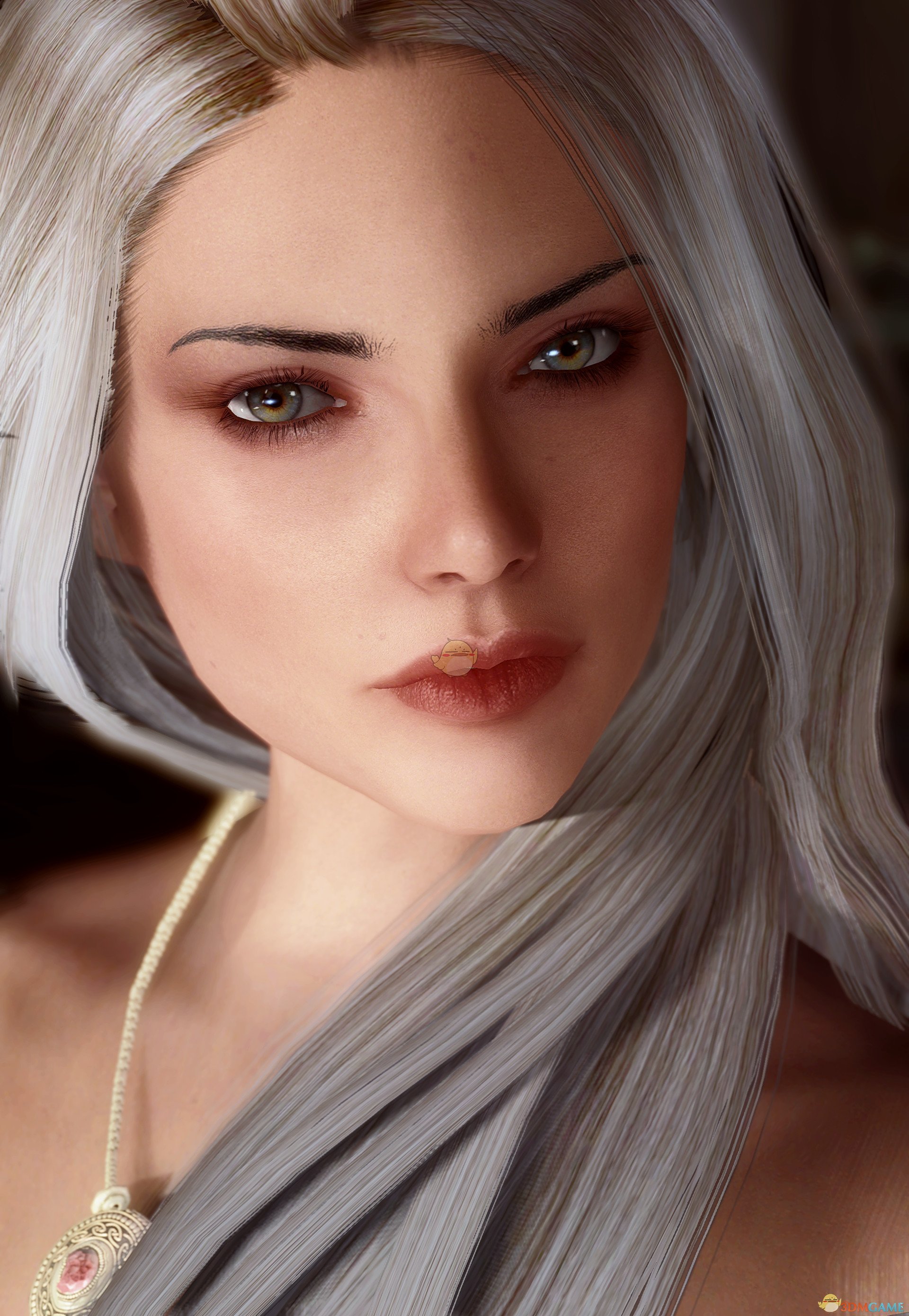 《上古卷轴5：天际》Vivace冰冷系美丽女性独立随从MOD