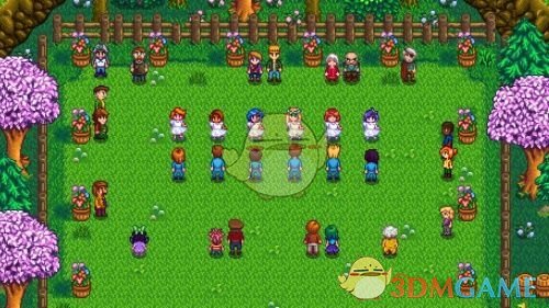 《星露谷物语》不再孤单的花舞节MOD