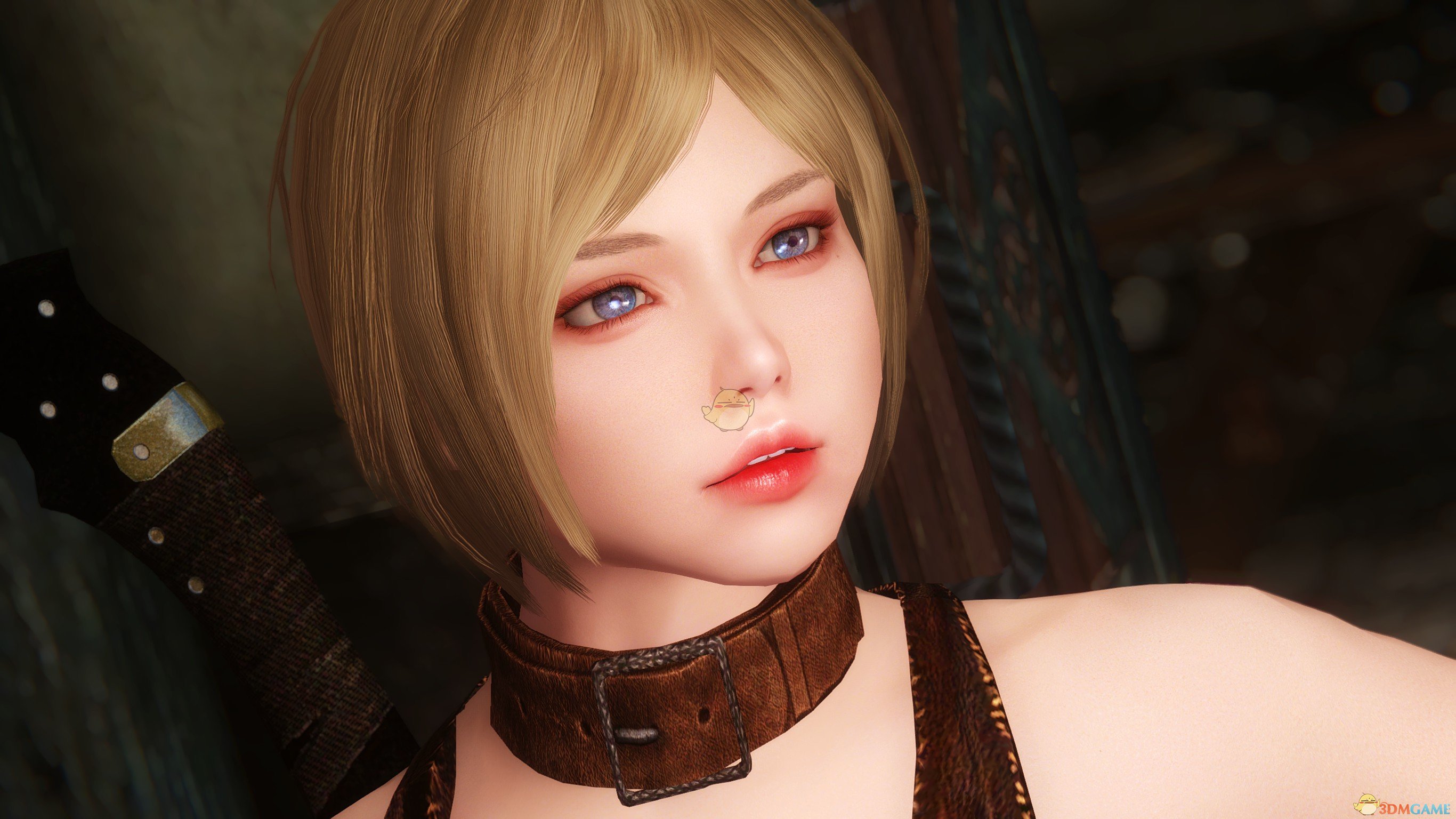 《上古卷轴5：天际》Kyra美丽短发独立女性随从MOD